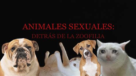 mujer zoofilia|Tube de zoofilia de alta calidad: vídeos porno zoofílicos añadidos。